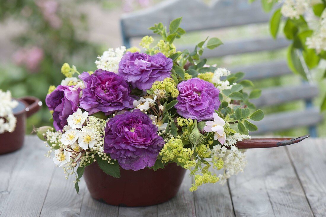 Gesteck mit duftenden Rosa 'Marie Louise' 'Cardinal de Richelieu' und multiflora