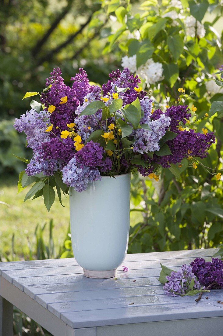 Fragrant bouquet of light and dark Syringa (Lilac) with Ranunculus