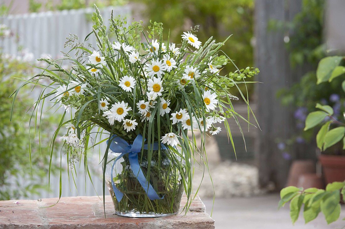 Spring bouquet from the meadow: Leucanthemum vulgare