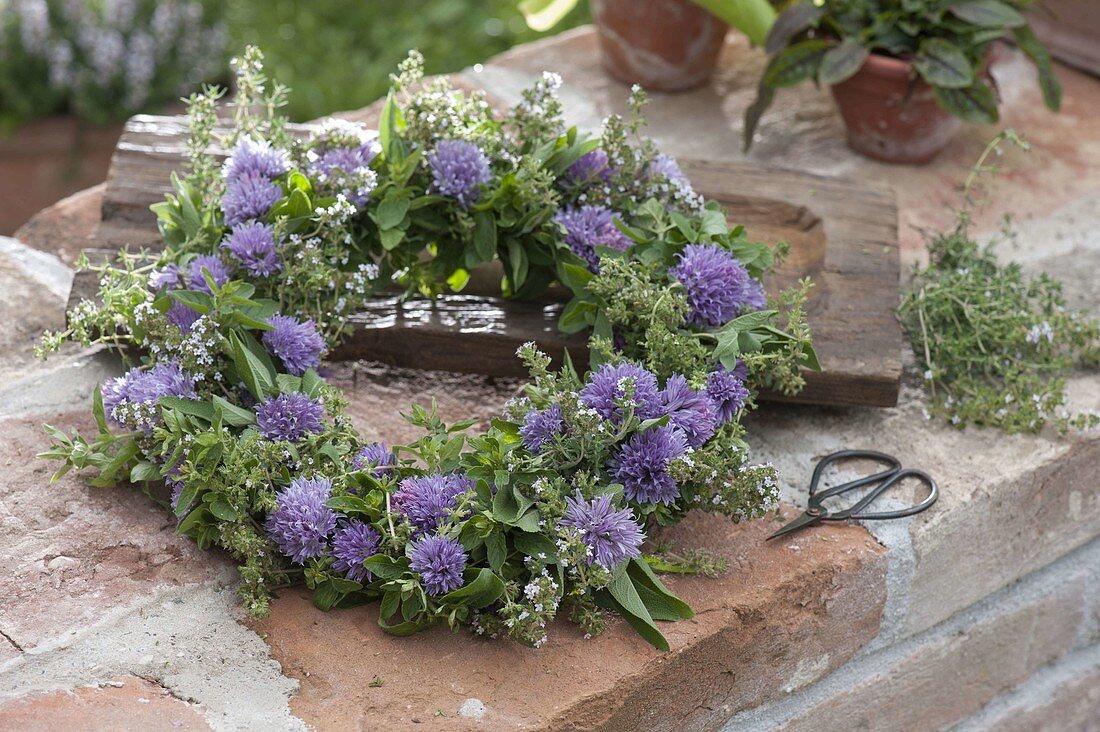 Herb wreath with flowers of chives (Allium schoenoprasum)