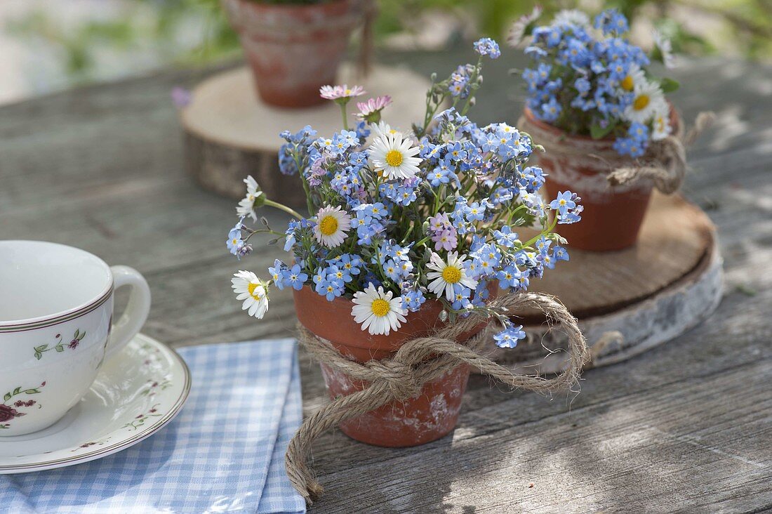 Small bouquet of Myosotis and Bellis perennis