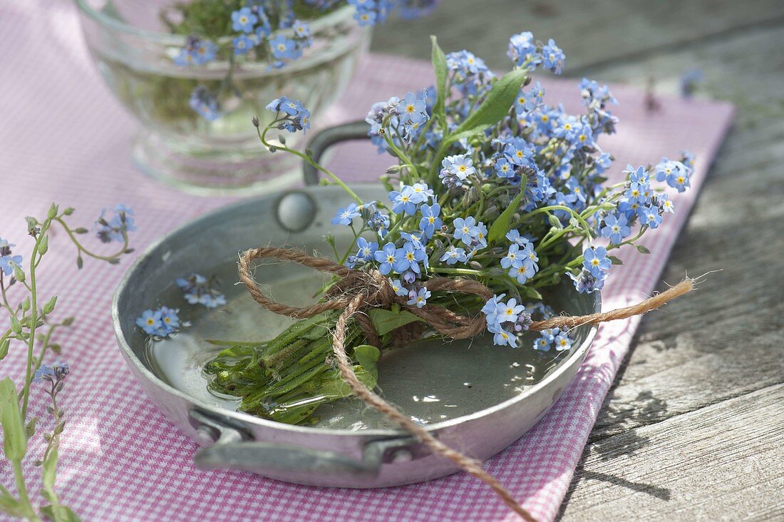 Small bouquet of Myosotis (forget-me-not) in zinc bowl with water