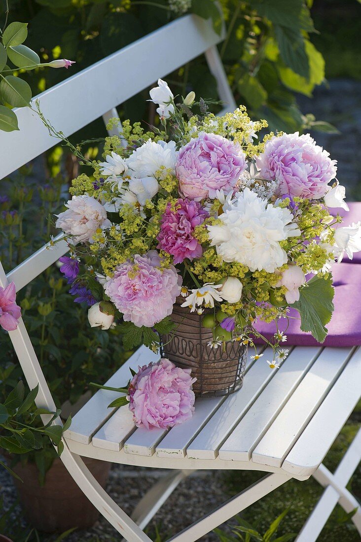 Early summer bouquet from Paeonia, Alchemilla