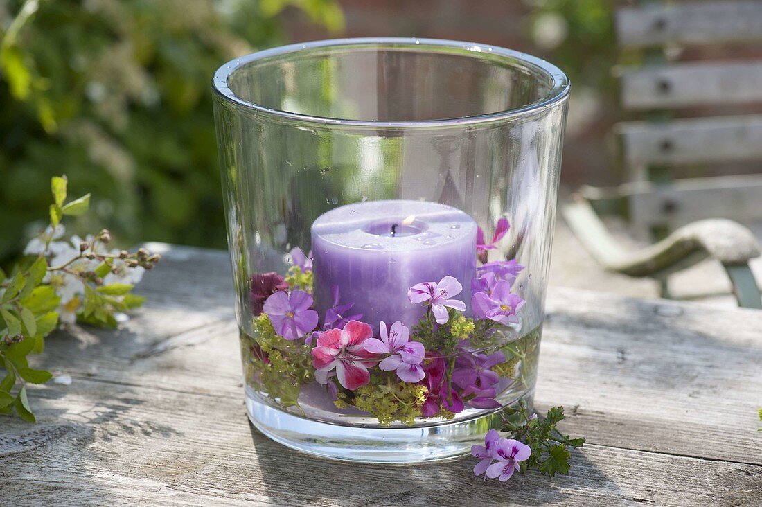 Purple candle in large glass as lantern with flowers of Pelargonium