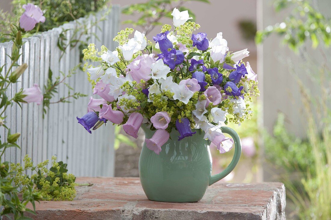 Bouquet of Campanula medium (Lady's bell flowers), Campanula