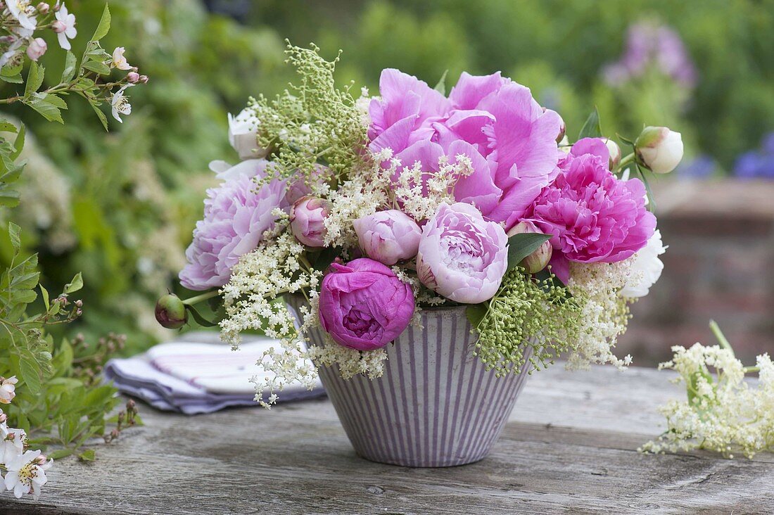 Strauß aus Paeonia (Pfingstrosen) und Blüten von Sambucus nigra (Holunder)