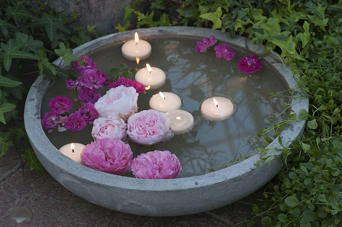 Schwimmende Blüten von Rosa (Rosen) und Schwimmkerzen