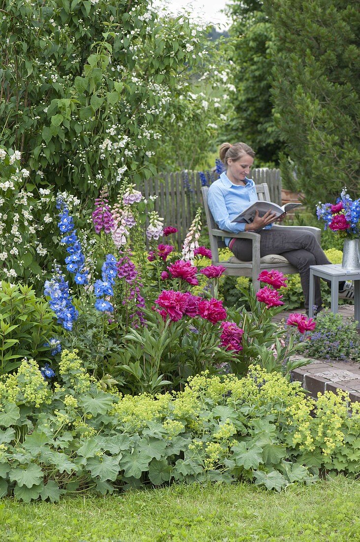 Paeonia, Digitalis, Alchemilla