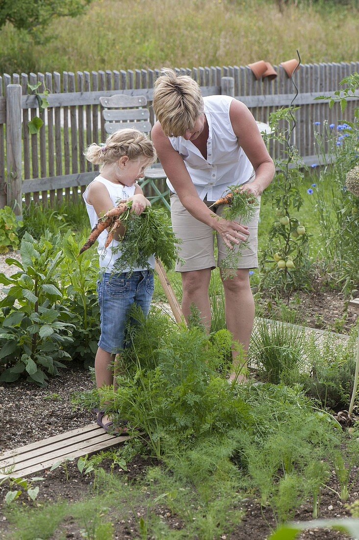 Mother and daughter with freshly harvested carrots, carrots (Daucus carota)