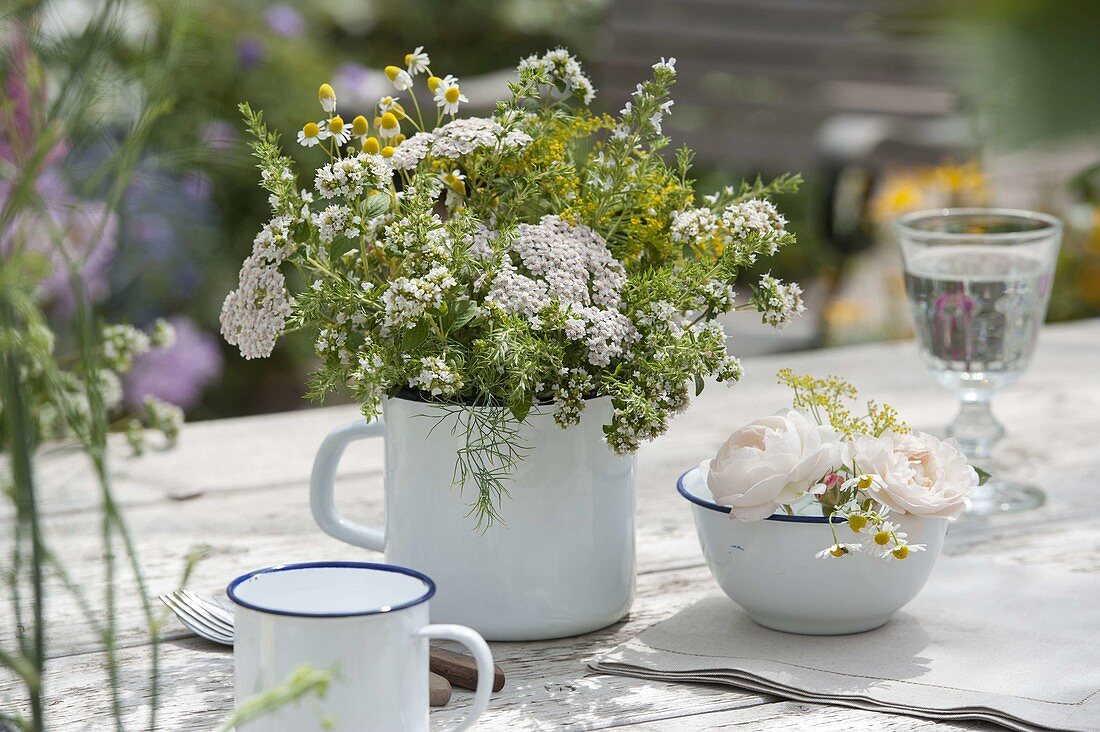 White flowering herbs: oregano (Origanum), camomile (Matricaria)