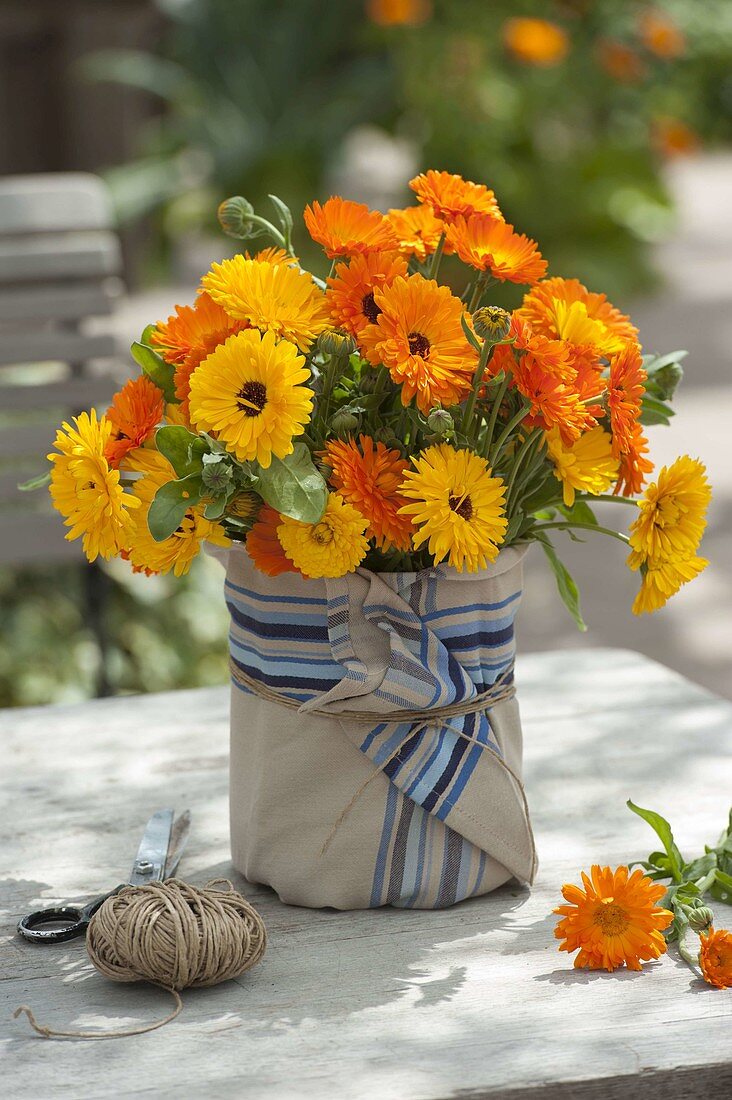 Bouquet of Calendula (marigolds), vase covered with tea towel