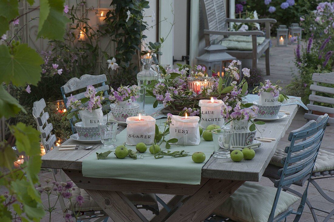 Romantic table decoration with perennial vetches
