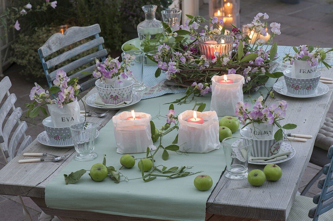 Romantic table decoration with perennial vetches