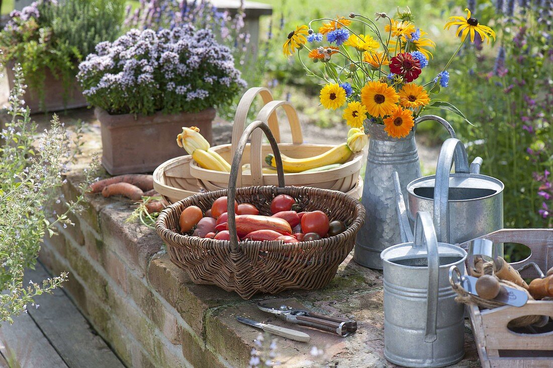 Baskets with freshly harvested tomatoes (Lycopersicon) and courgettes