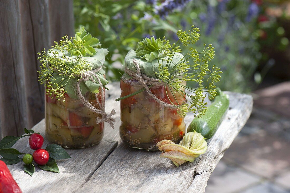 Preserved zucchini (Cucurbita) as a gift nicely packed with dill