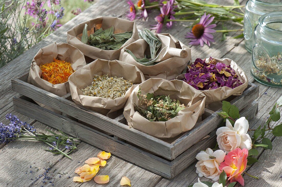 Dried herbs for tea or wellness in paper bags