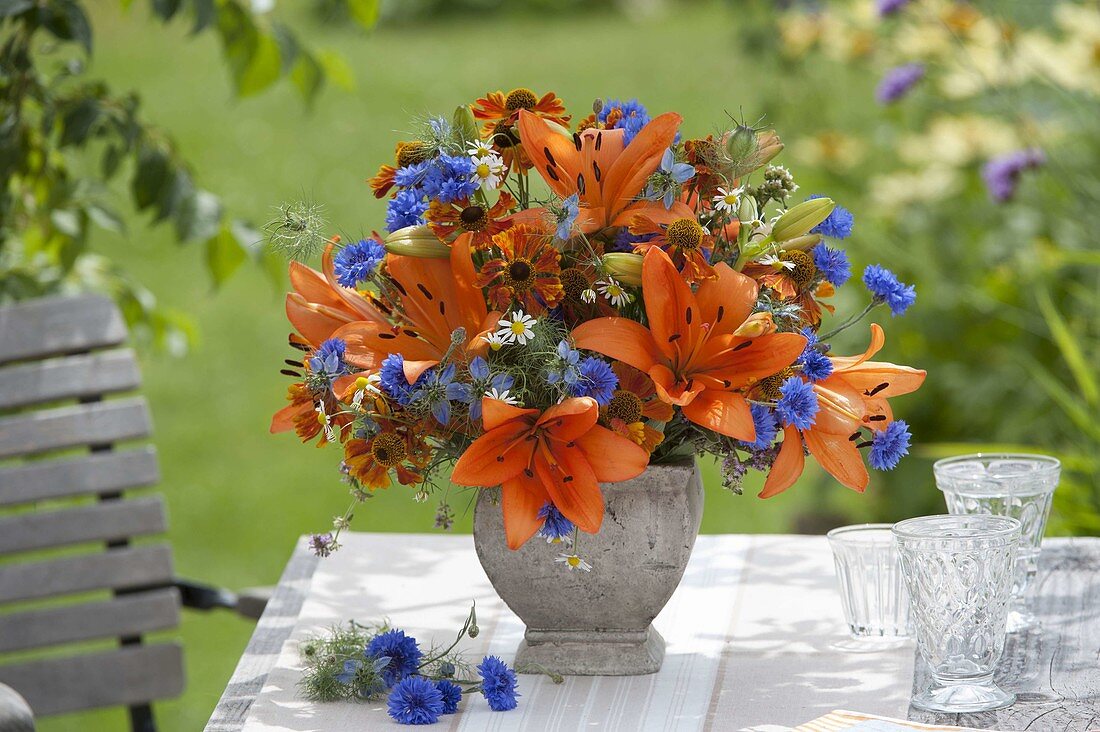 Blue-orange bouquet of Lilium asiaticum