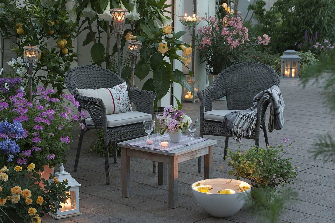 Evening terrace with scented plants and lights