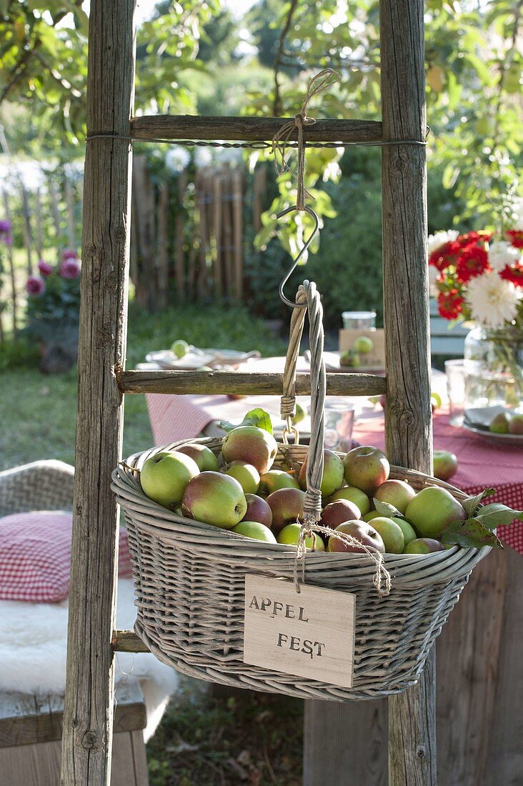 Laid table under the tree in the garden