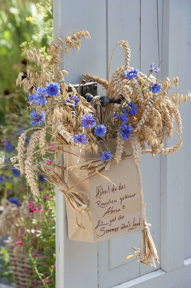 Paper bag with wheat (Triticum), oats (Avena) and Centaurea