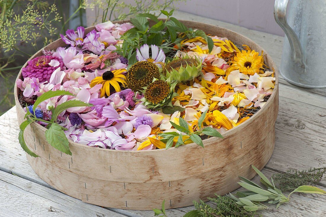 Design summer flowers and herbs to dry