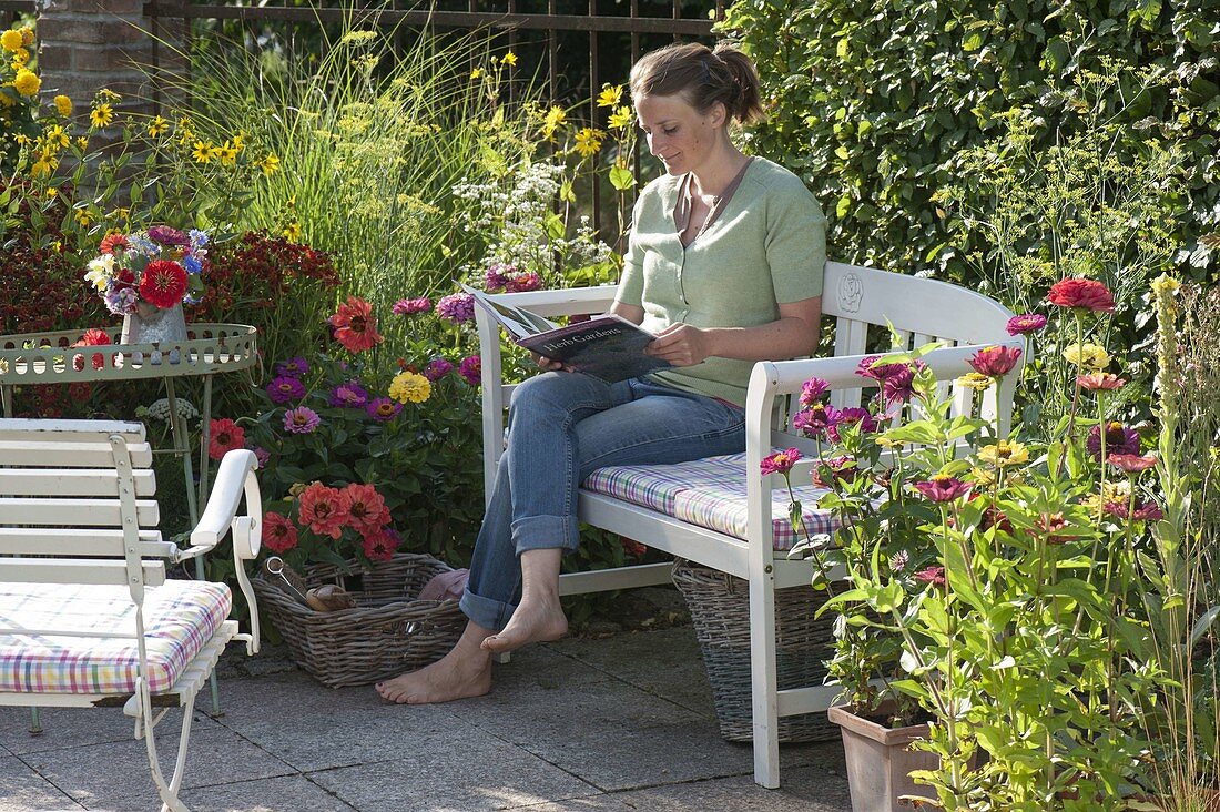 White bench between summer flowers