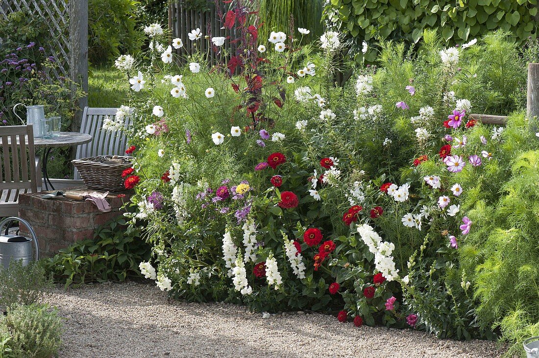 Planting summer bed with annual summer flowers