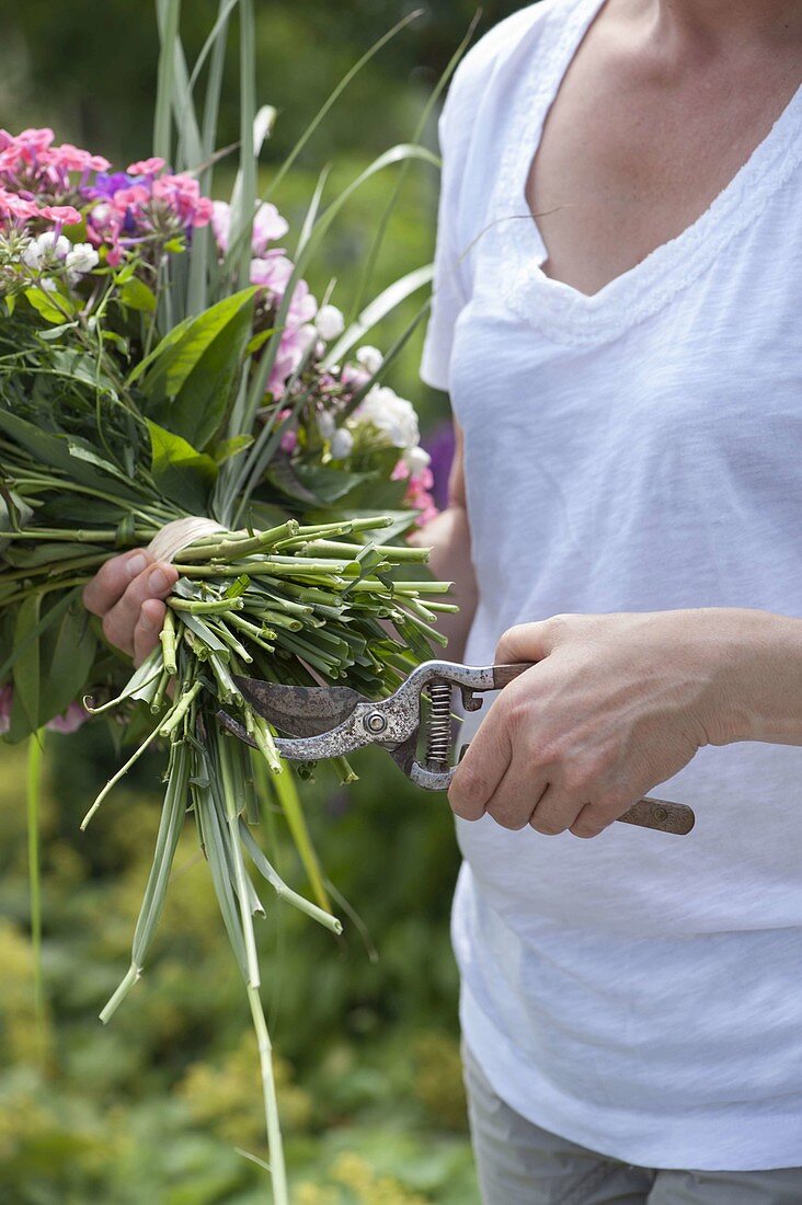 Duftenden Strauss aus Phlox binden