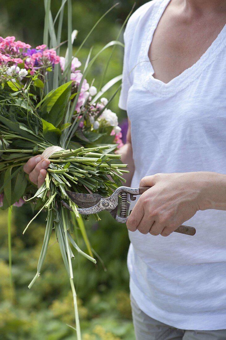 Making a fragrant bouquet from phlox