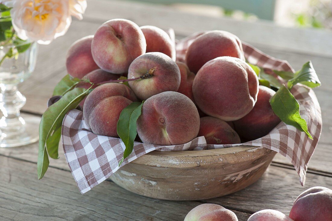 Freshly harvested peaches (Prunus persica) on peel