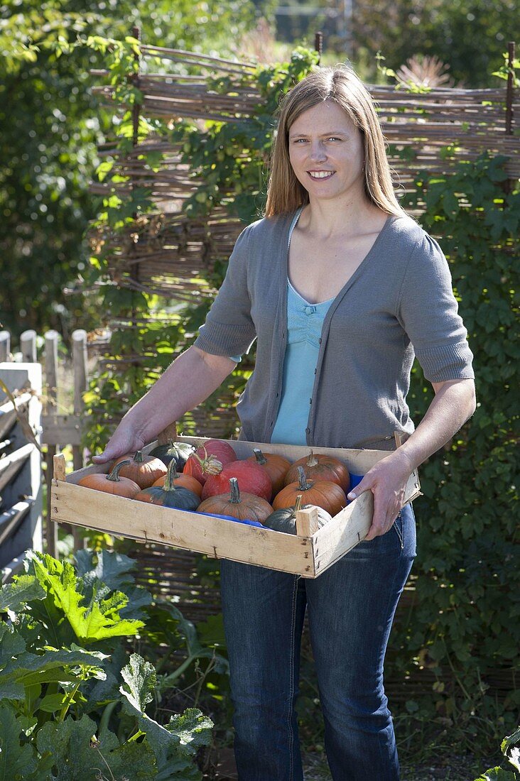 Woman with freshly harvested pumpkins (Cucurbita) in fruit stall