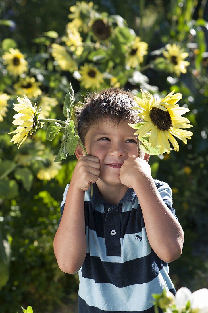 Boy with sunflowers