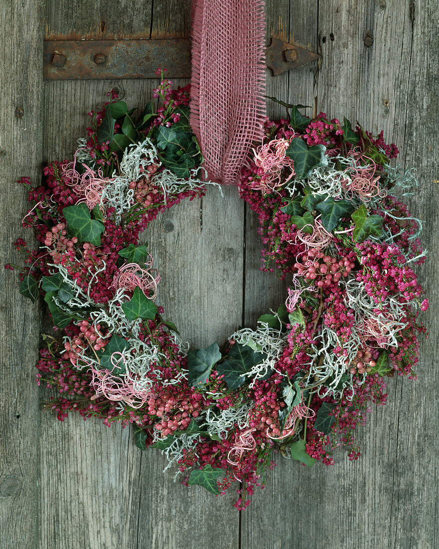 Door wreath made of Erica (heather), Hedera (ivy), Calocephalus (Greiskraut), pink ribbon