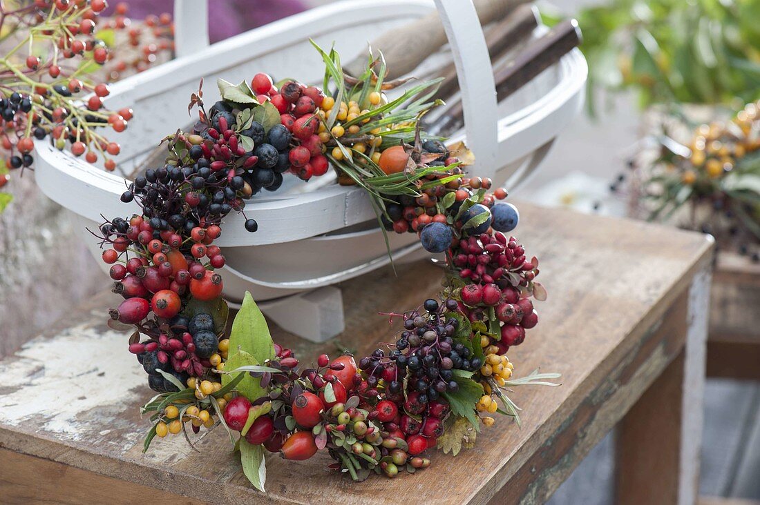 Wreath of wild fruits: Sorbus (mountain ash, rowan), Hippophae