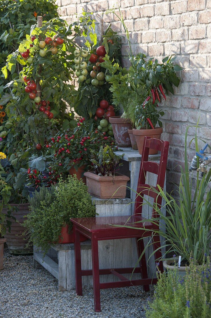 Pflanzentreppe mit Gemüse auf Kies-Terrasse