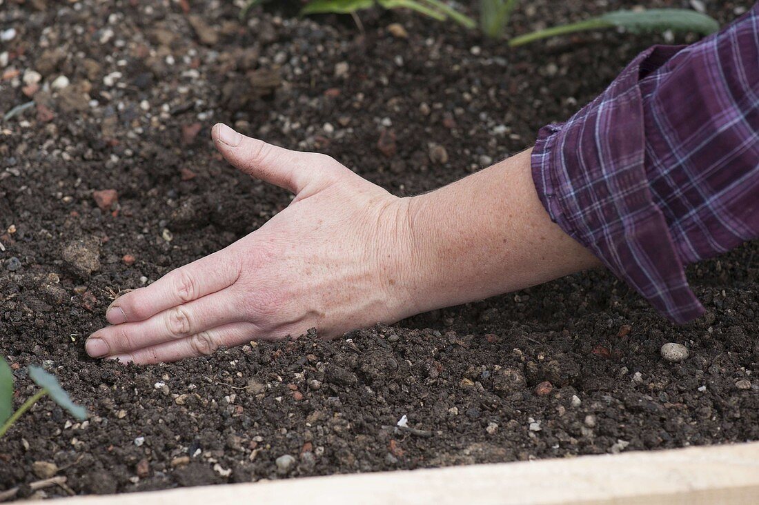 Building a raised bed from boards