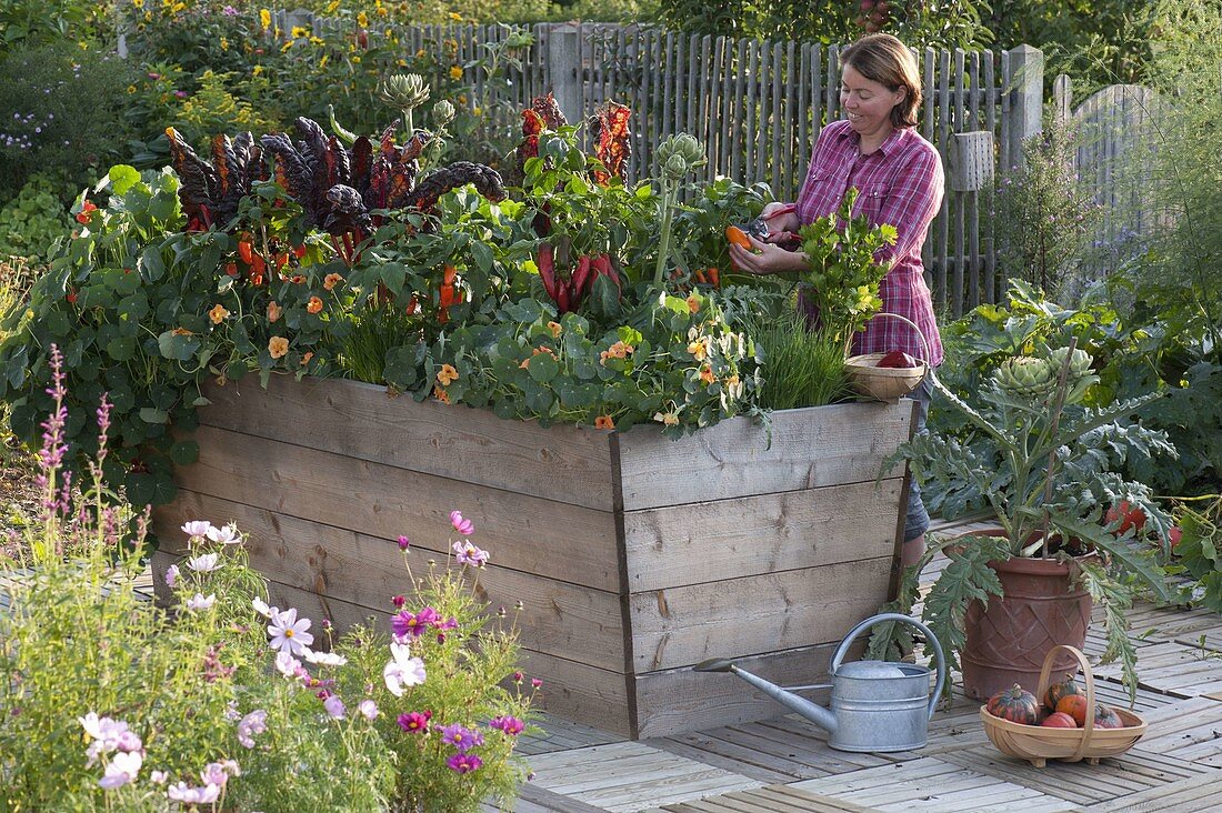 Building a raised bed from boards