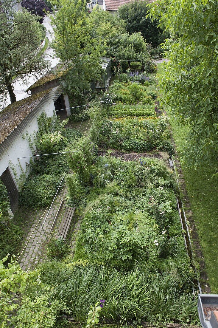 View from above to the cottage garden with summer flowers