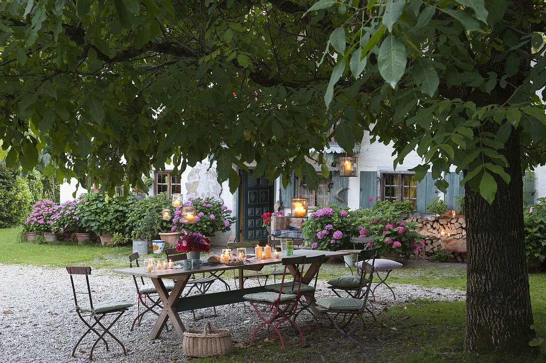 Seating under the walnut tree in front of the house