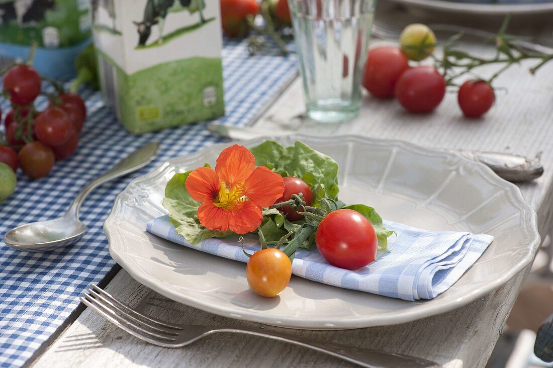 Salat in leeren Milchtüten ziehen