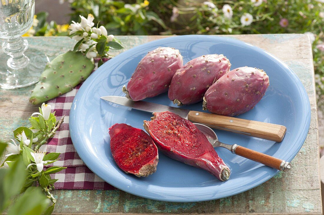 Fruits of prickly pear (Opuntia ficus-indica) on a blue plate