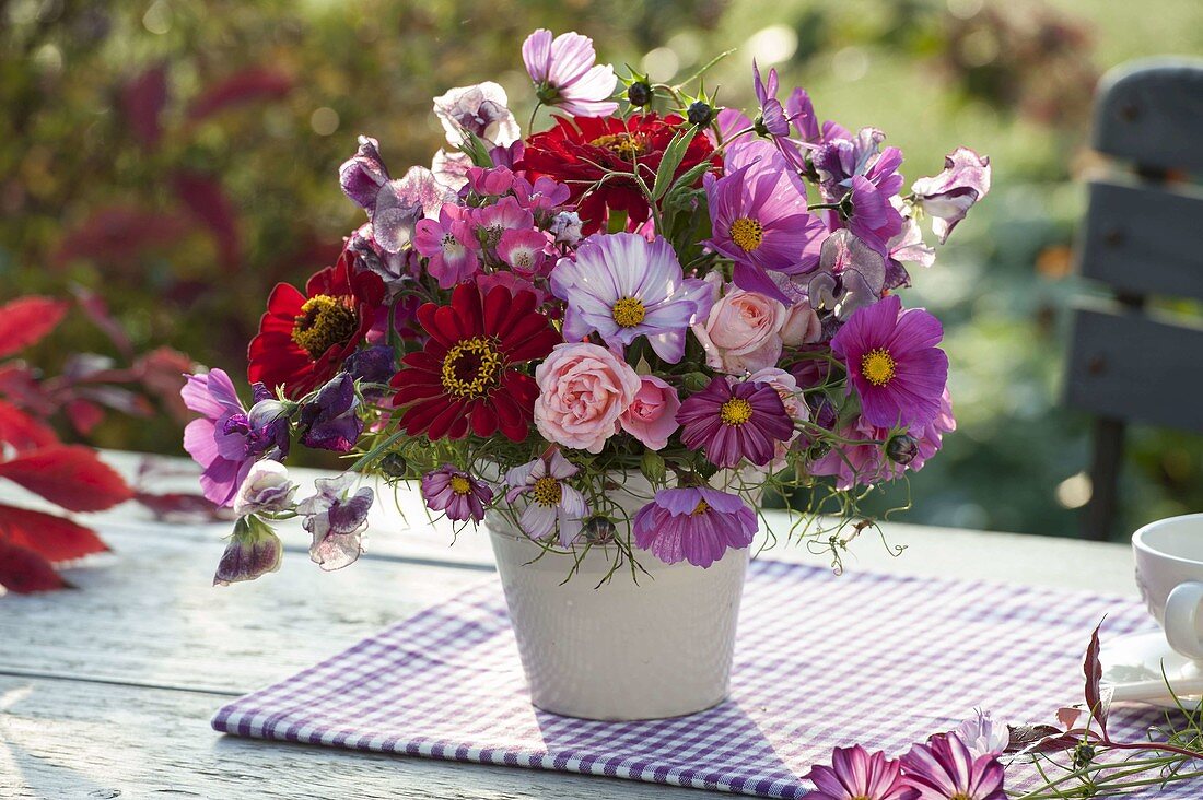 Pink-red late summer bouquet of Cosmos (Jewel Basket), Pink