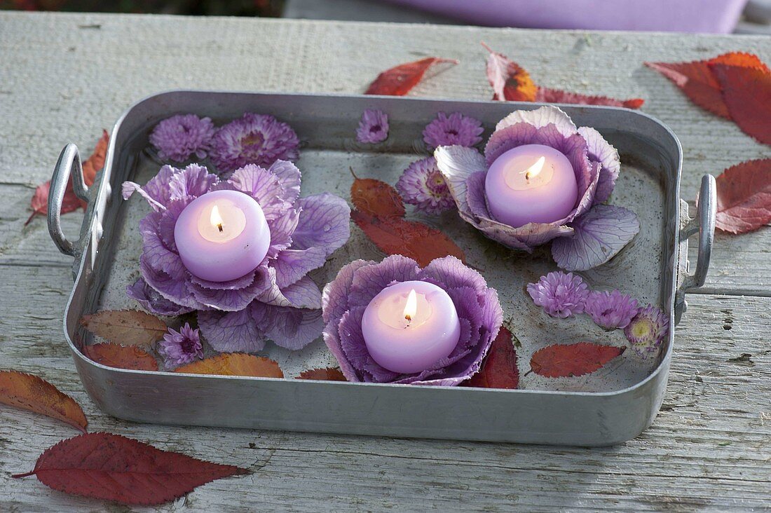 Deteriorated baking dish with floating candles on ornamental cabbage