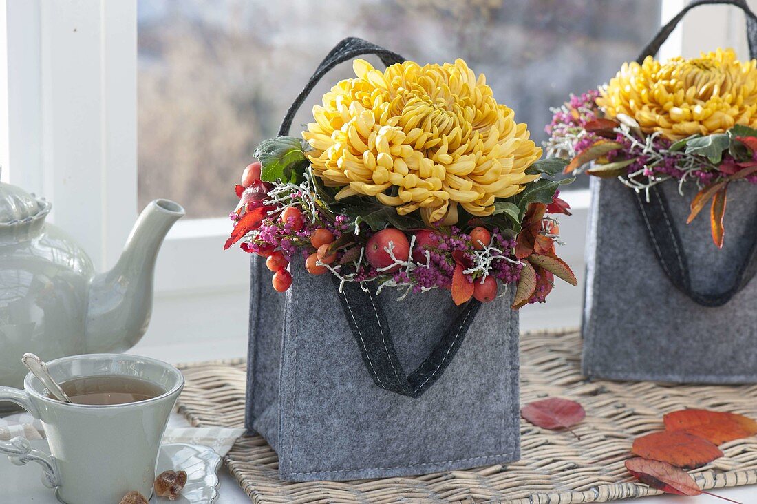 Single flowers of Chrysanthemum (decorative chrysanthemums)