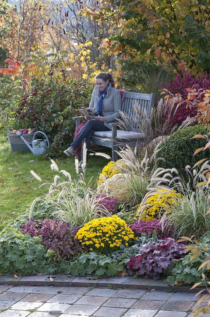Autumn bed with perennials and grasses: Pennisetum 'Sky Rocket'