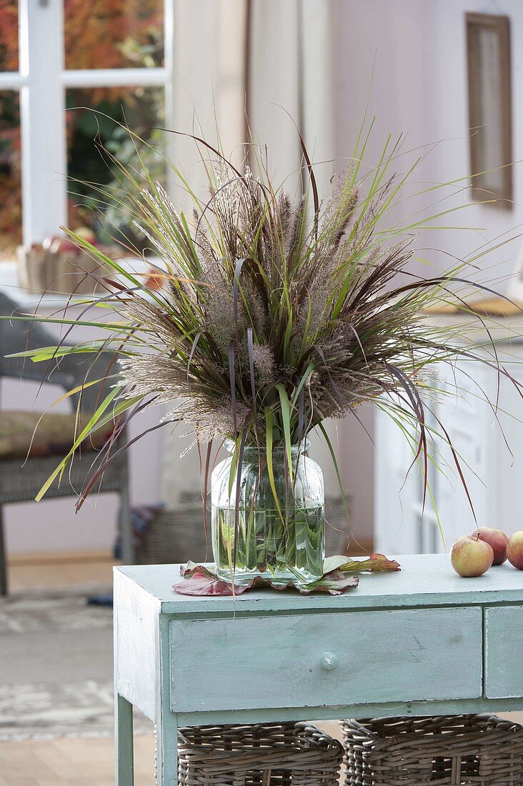 Bouquet of different grasses in glass vase