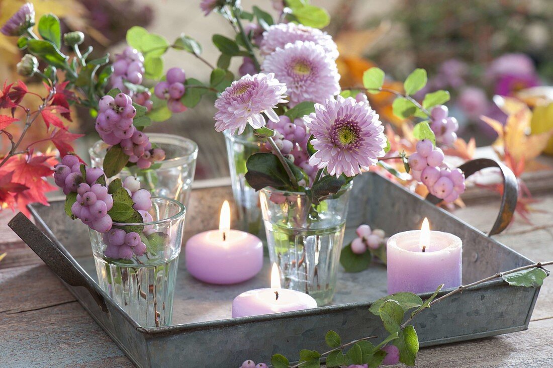 Small autumn bouquets of Chrysanthemum (autumn chrysanthemums)