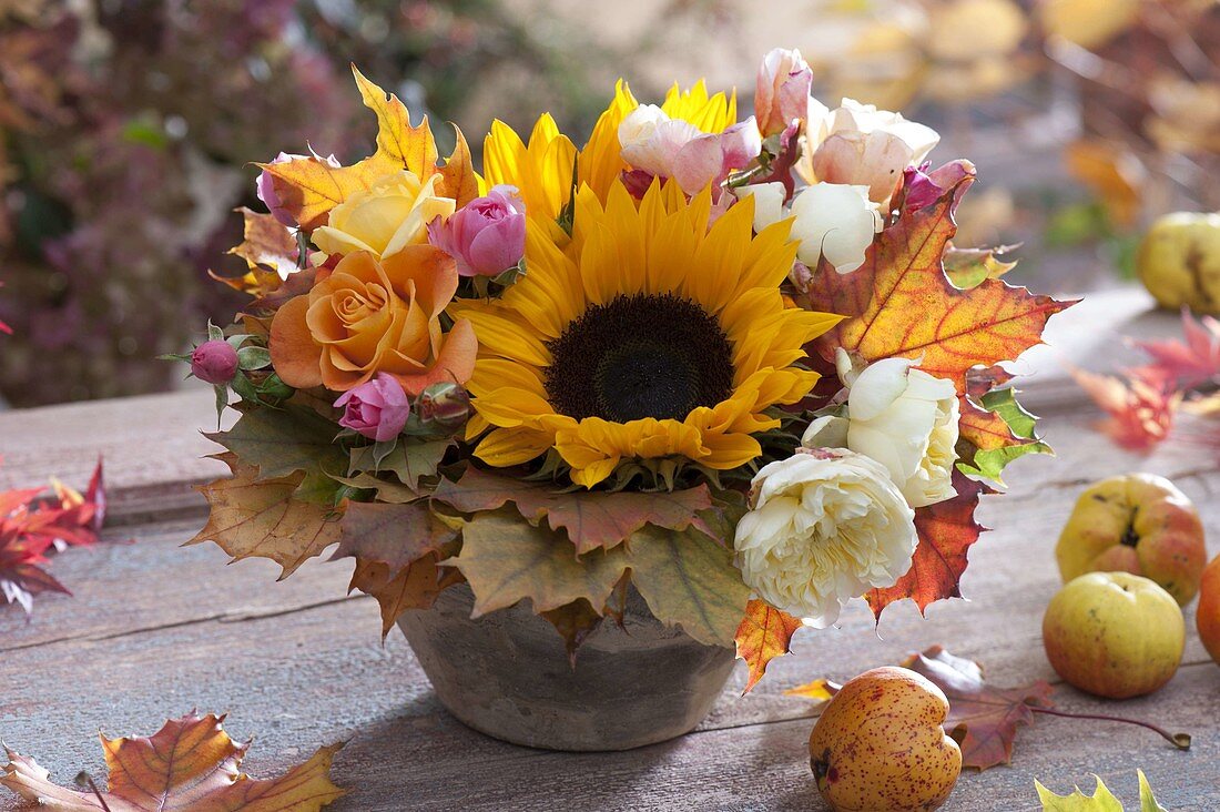 Herbststrauss in Schale mit Helianthus (Sonnenblume), Rosa (Rosen)