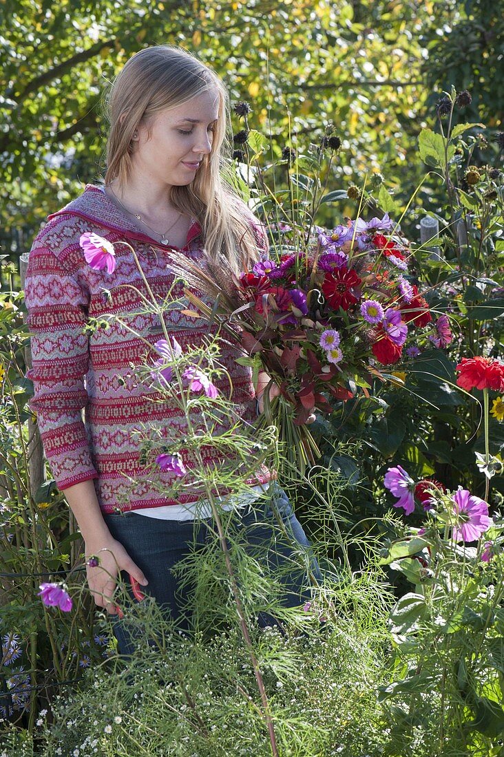 Young woman cutting the last summer flowers in the cottage garden