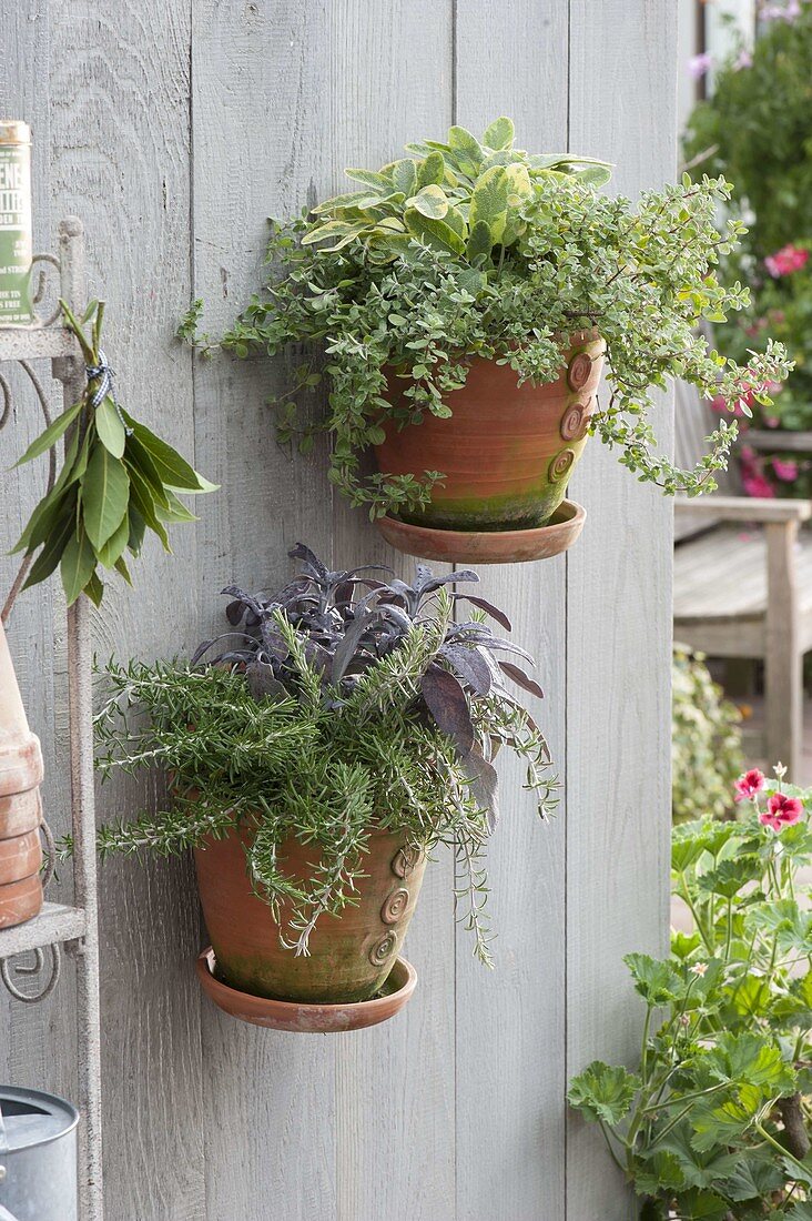 Hand-potted wall hanging pots with herbs